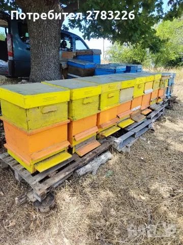 12 бр. нови Даданблат с многок.магазини 