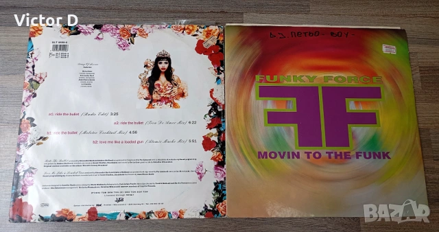 Грамофонни плочи -  DJ СИНГЛИ 12 maxi single, снимка 17 - Други - 54930125