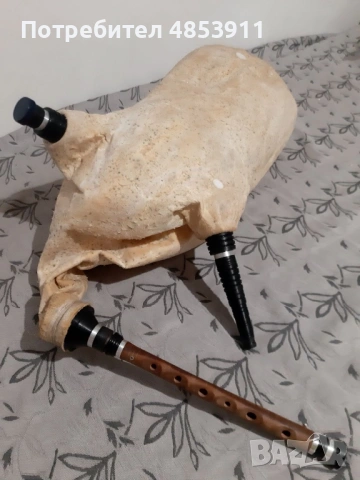 Чисто нова гайда