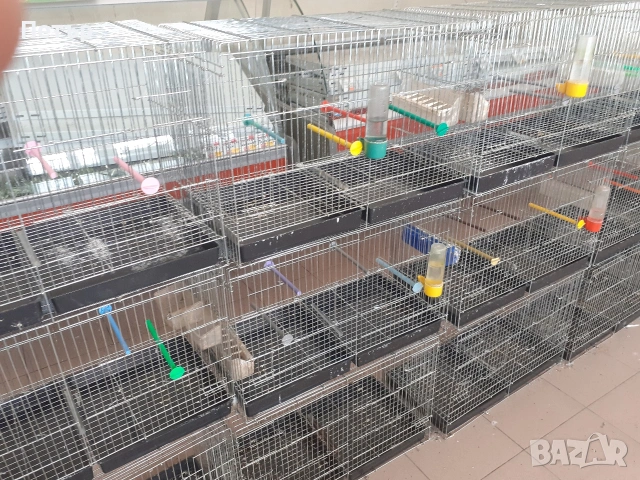 продавам.клетки.за.птици, снимка 2 - Канари - 54562929