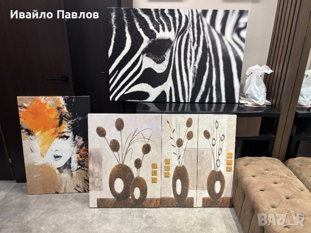Декоративни пана картини