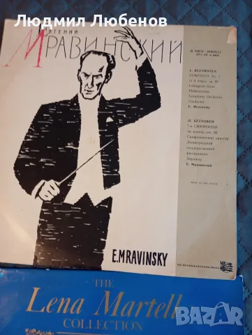 Лот от 20броя грамофонни плочи., снимка 9 - Грамофонни плочи - 55620631