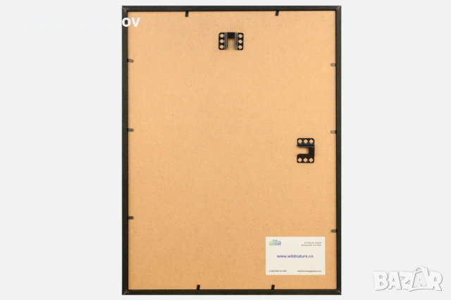 Фотокартина с дива свиня, снимка 3 - Картини - 53961236