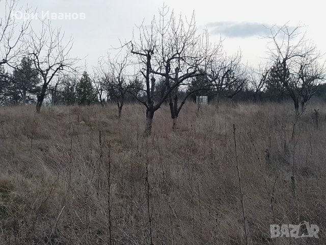 Овощна градина в с.Соволяно , снимка 7 - Земеделска земя - 53395499