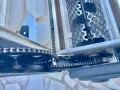 Гроздомелачка GRIFO DVEP20 с електромотор, помпа и маркуч, снимка 9