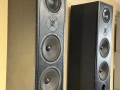 Canton Fonum 701 DC — Пасивни флор колони (2 бр.) — Made in Germany, снимка 3
