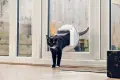 Чисто нова смарт WiFi врата за котки с микрочип SureFlap Cat Flap Connect (DualScan)  , снимка 6