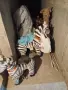 Коли и джипове за люлки и въртележки и за части , снимка 3
