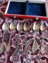 Продавам сребърни лъжици за хранене , снимка 1