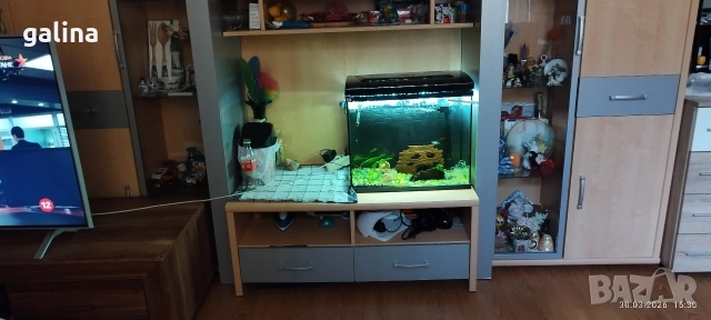 секция , снимка 3 - Секции и витрини - 54027912