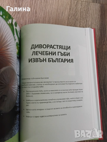 Лечебните гъби в България, снимка 10 - Енциклопедии, справочници - 54389086