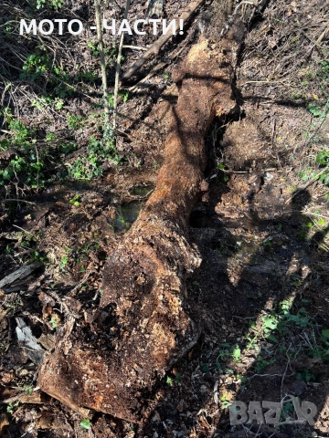 Косене на трева | Рязане на дървета | Почистване | Извозване., снимка 6 - Други почистващи услуги - 54129586