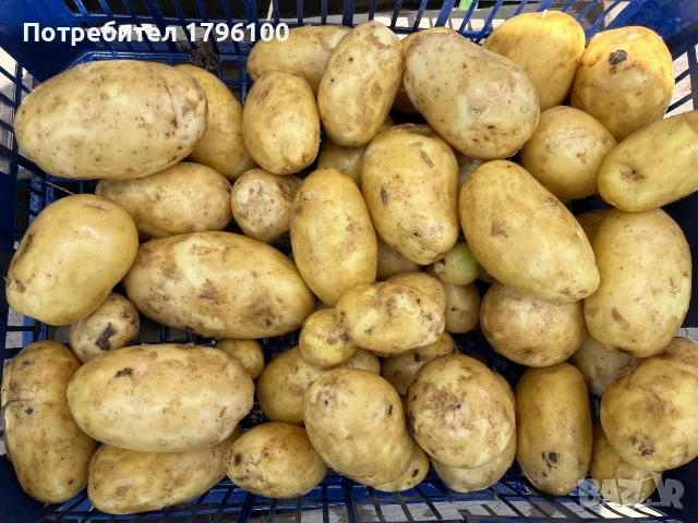 Пресни домашни картофи