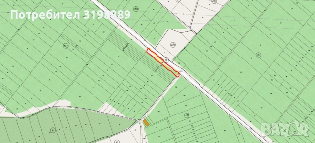 продавам лозе, снимка 7 - Земеделска земя - 54144914