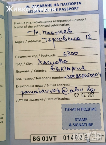  Продавам Голдън Ретривър – Бела, 3 месеца, снимка 9 - Голдън ретривър - 54726874