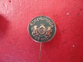 Бронзов знак значка знаци значки емайл , снимка 3