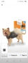 Камизелка за кучета ThunderShirt, размер S, релаксираща, регулируема, сива, снимка 3