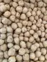 продавам нахут реколта 2026 г., снимка 3