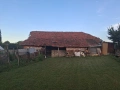 Продавам къща в село Пчелник, обл. Варна, снимка 9