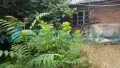 Етаж от къща с двор до Градска градина Хасково, снимка 9