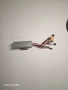 Контролер за електрическа тротинетка KuKirin G2 Max (48V), снимка 3