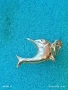 Сребърен медальон във формата на делфин 🐬 нежно Арт бижу 42474, снимка 7