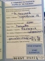  Продавам Голдън Ретривър – Бела, 3 месеца, снимка 9