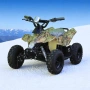 Детско електрическо АТВ / ATV 800W с 3 скорости 1 година Гаранция, снимка 2