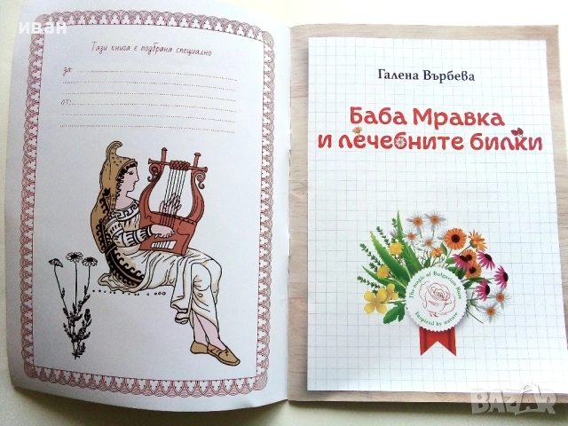 Баба Мравка и лечебните билки - Галена Върбева, снимка 2 - Детски книжки - 54911582