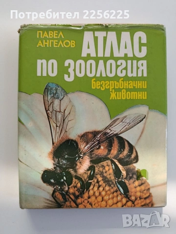 Атлас по зоология ( безгръбначни животни)