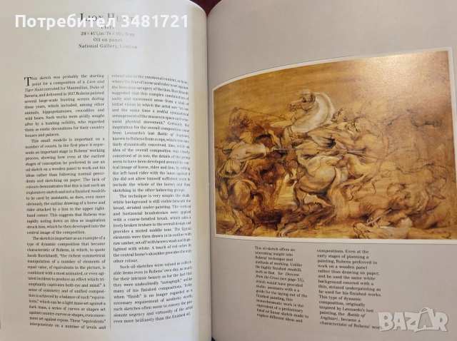 Рубенс - история и техники на великите творци / The History and Techniques of the Great Masters, снимка 8 - Изкуство, музика, кино и фотография - 55065420