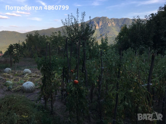 Продавам къща в с. Орешец, снимка 16 - Къщи - 55127321