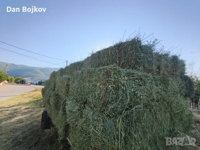 Продавам малки бали люцерна , снимка 5 - Други стоки за животни - 55482932
