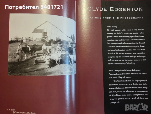 Picturing the South 1860 to the Present, снимка 10 - История, политика и общество - 55065597