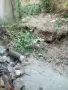 Здравейте хора предлагам всякакви  услуги , снимка 4