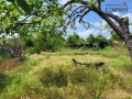 КЪЩА, район ЦЕНТЪР, гр. Ген. Тошево - 43000евро!, снимка 14