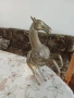 Бронзов кон, снимка 3