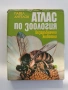 Атлас по зоология ( безгръбначни животни), снимка 1