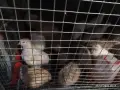 падпадъци падпадъци , снимка 2