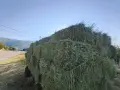Продавам малки бали люцерна , снимка 5
