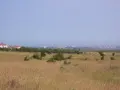 Поземлен имот 29.400 кв.м. в близост до с.Кошатица, снимка 2