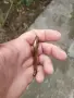 Интересен стар ключ с камък, снимка 8