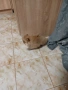Mini Pomeran, снимка 3