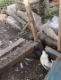 Продавам яйца за лупене, снимка 3