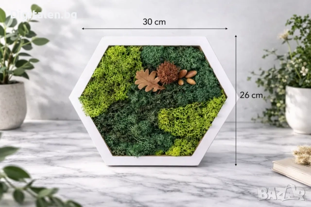 Жива картина пчелна пита 30x26 см Скандинавски мъх