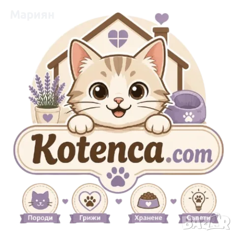 "Kotenca.com – премиум домейн за котешки портал, обяви и магазин"