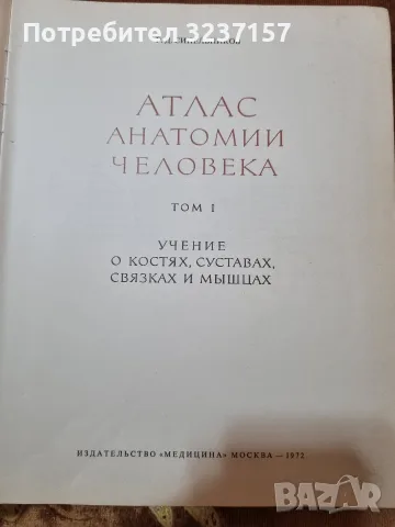 Атлас Анатомии Человека, снимка 2 - Други - 55354407
