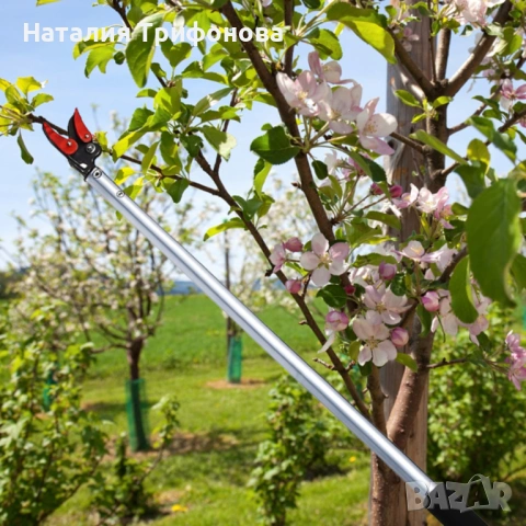 Ножица за клони и бране на плодове 100 см – прецизно рязане без стълба