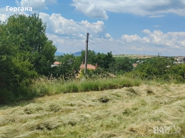 Невероятно красив парцел до регулация в село Дивотино