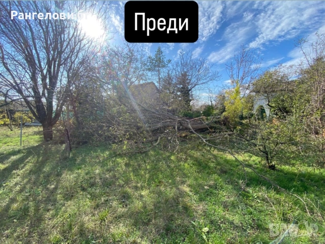 Озеленяване и Градинарски Услуги за гр.Варна  и регион, снимка 3 - Други услуги - 54761579